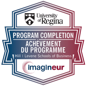 Imagineur digital badge of program completion